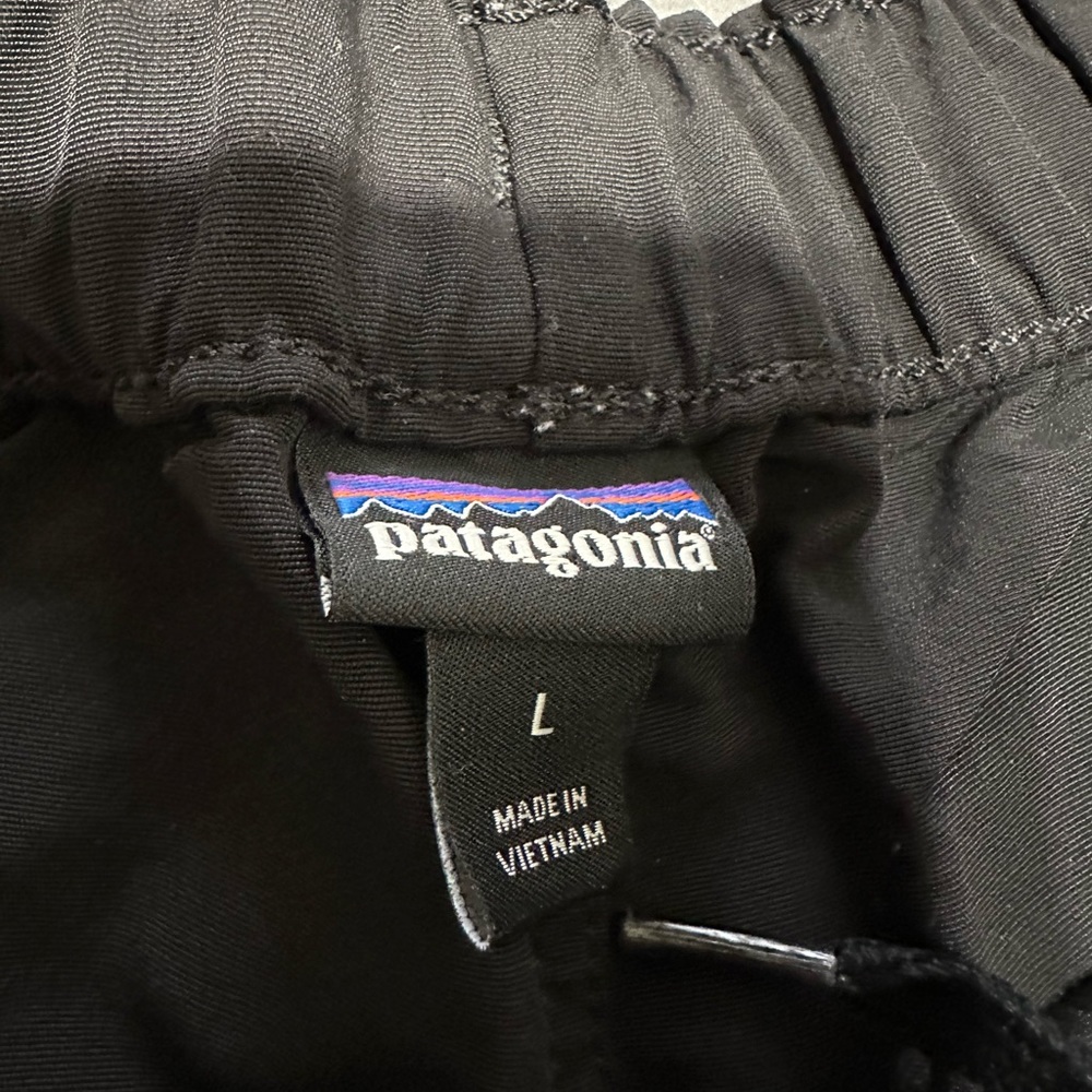 Patagonia Barely Baggie shorts